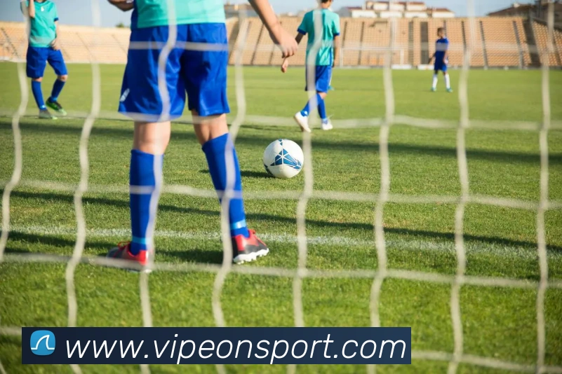 意昂体育平台生态图